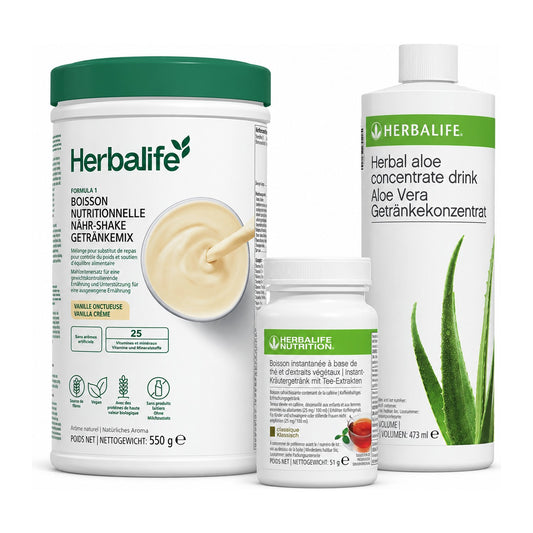 kombi shake tee aloe